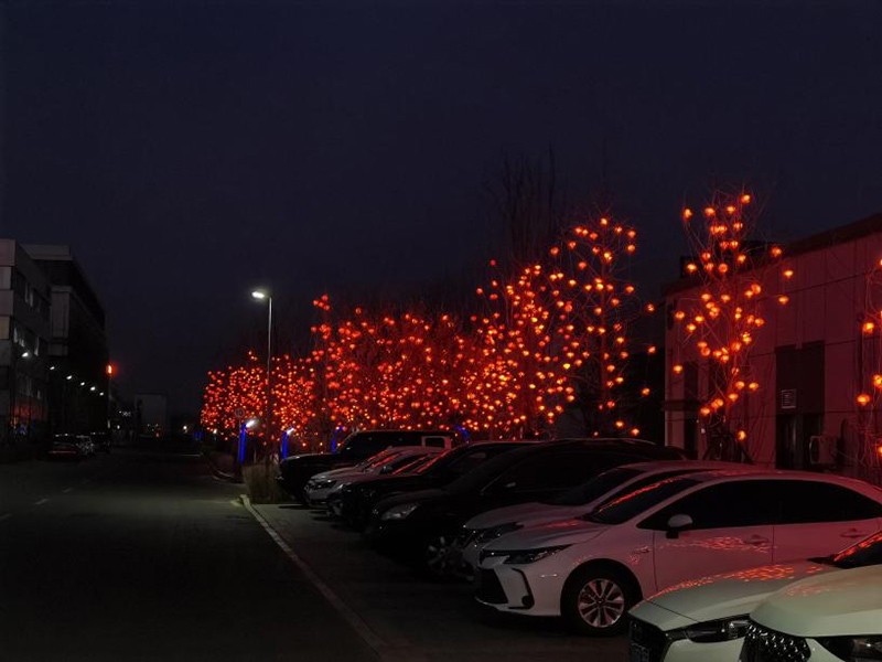 ŷ�������(�й���)���޹�˾